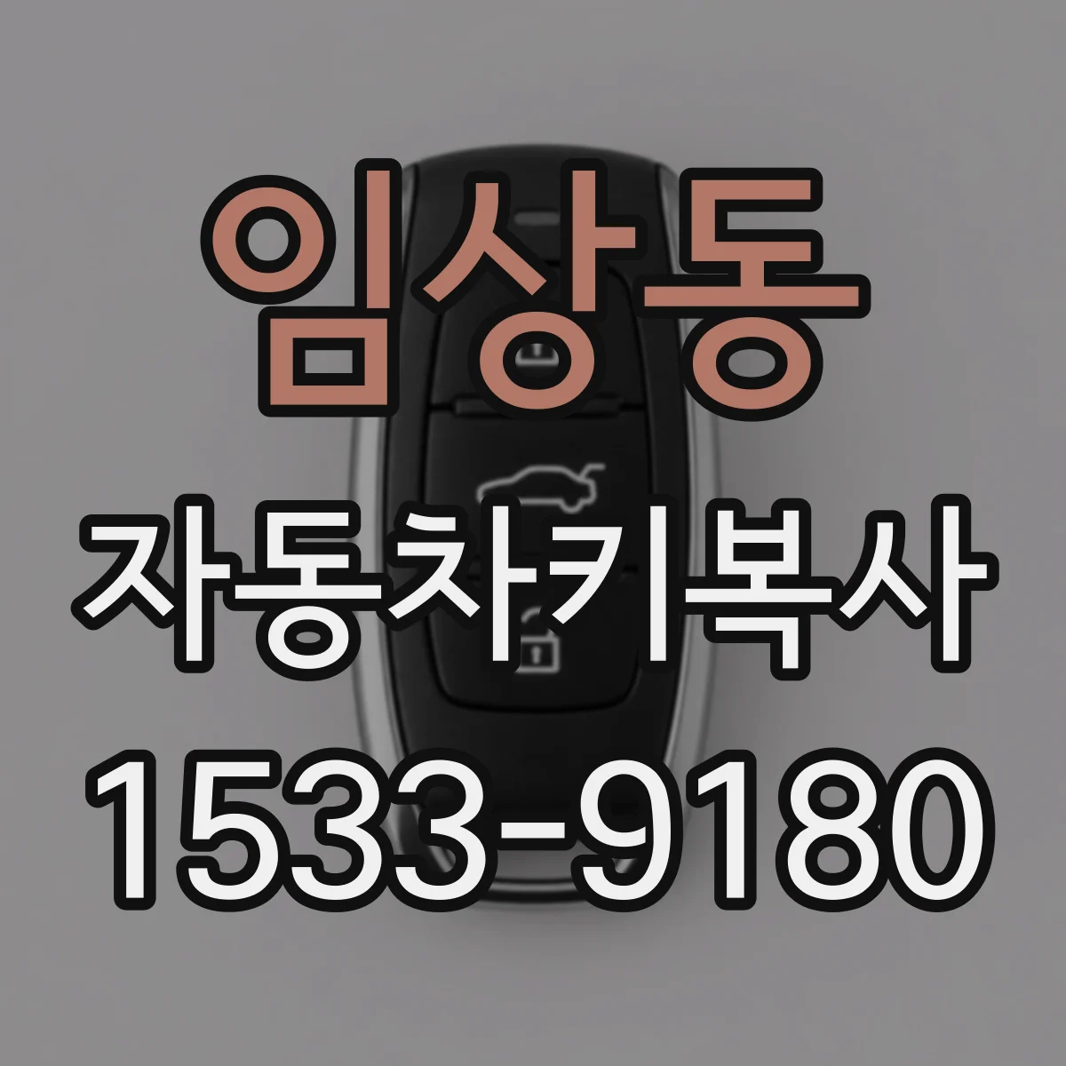 임상동 자동차키복사