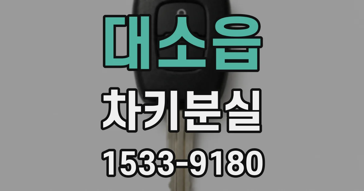 대소읍 차키분실