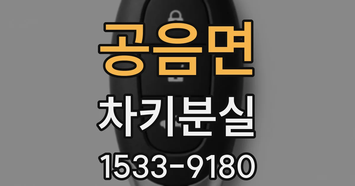 공음면 차키분실