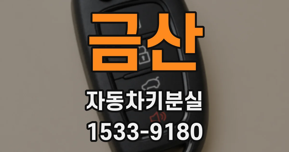 금산 자동차키분실