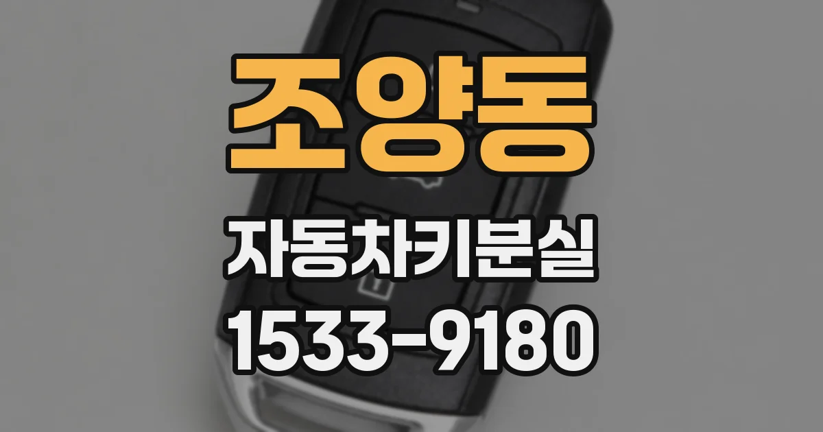 조양동 자동차키분실