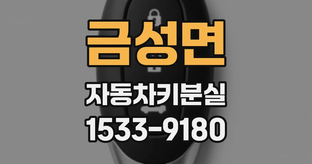 금성면 자동차키분실