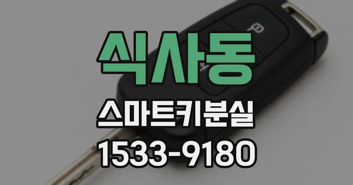 식사동 스마트키분실