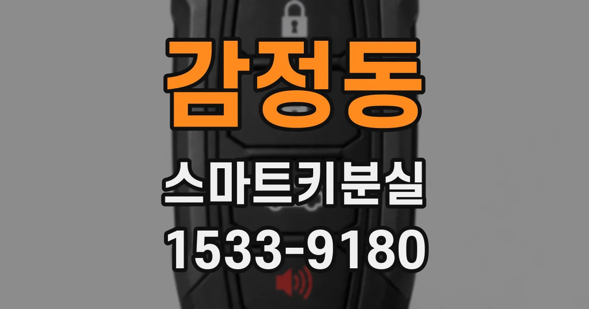 감정동 스마트키분실