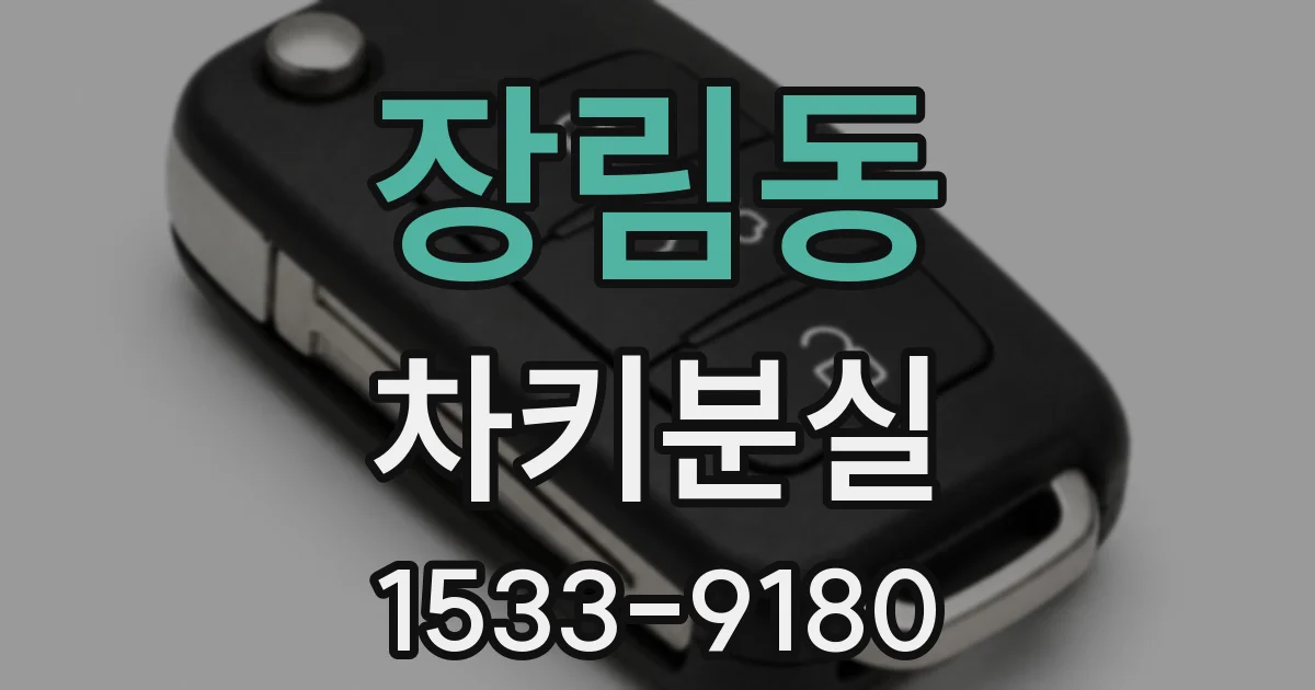 장림동 차키분실