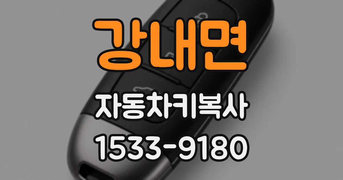 강내면 자동차키복사