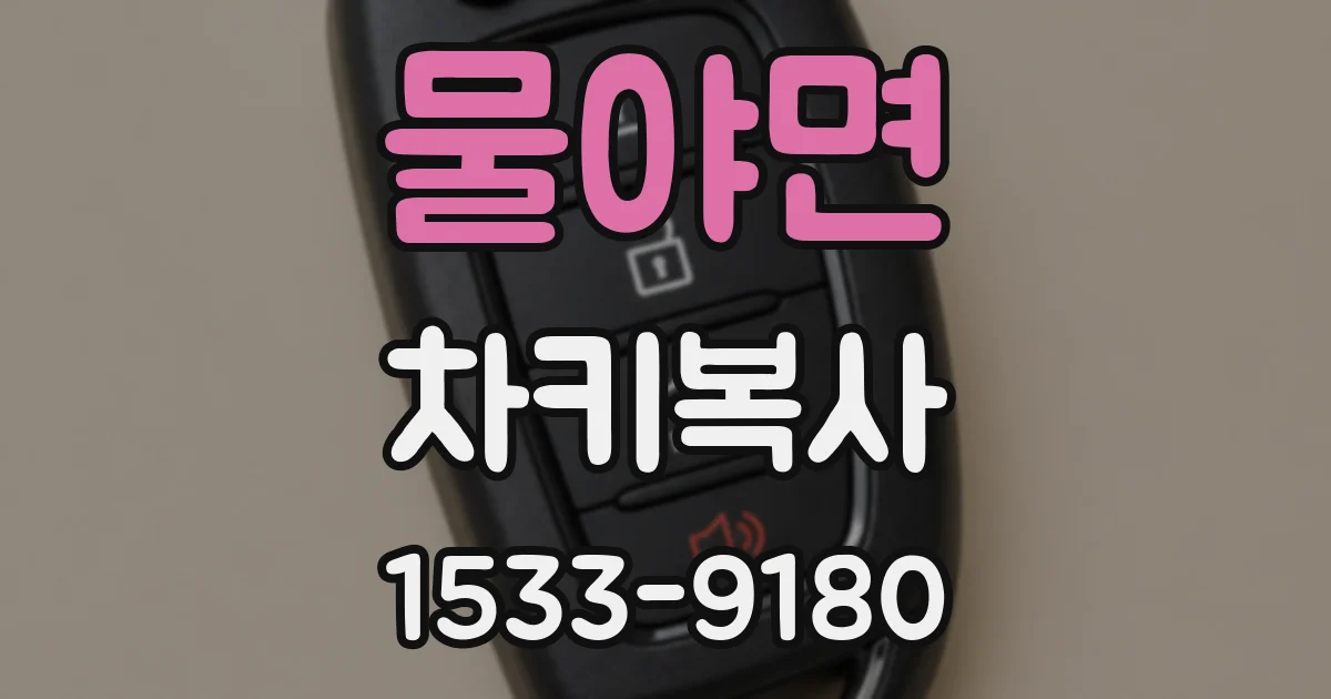 물야면 차키복사