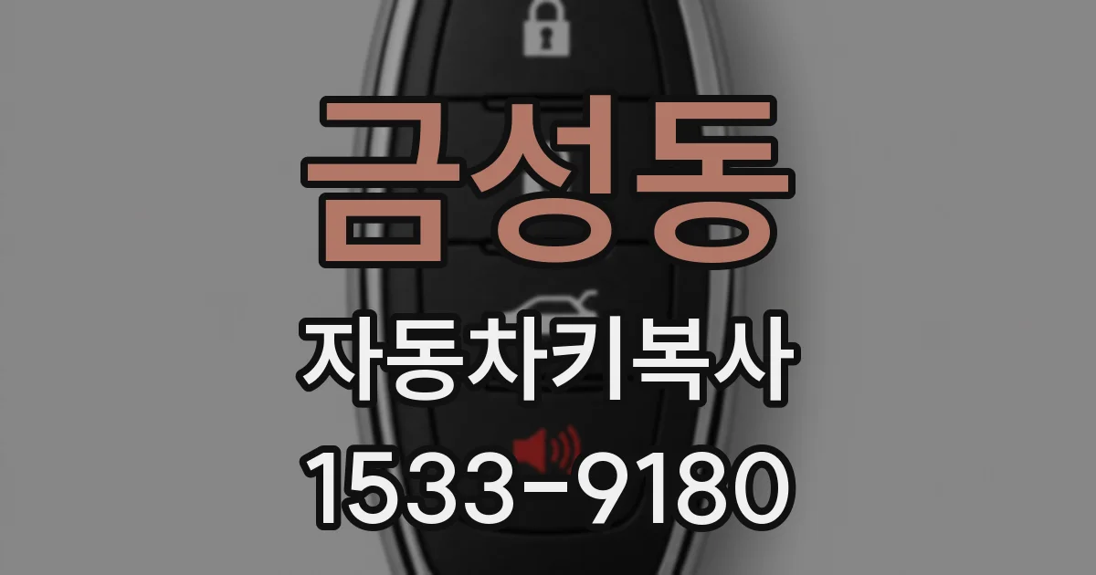 금성동 자동차키복사