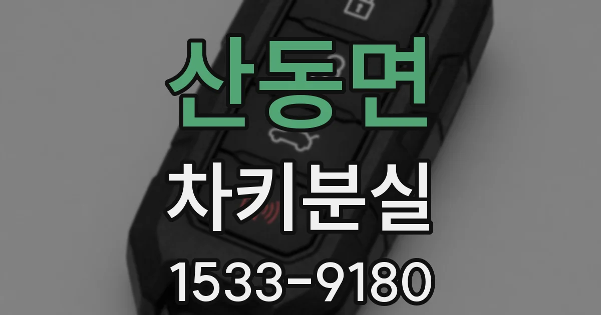 산동면 차키분실