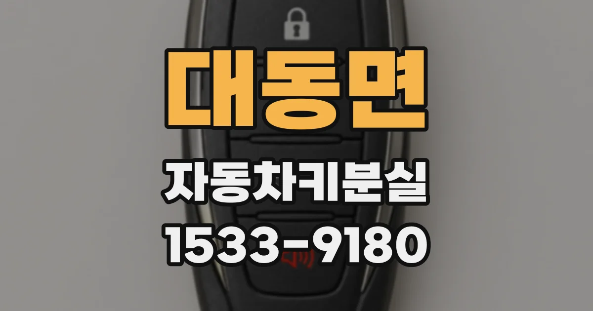 대동면 자동차키분실