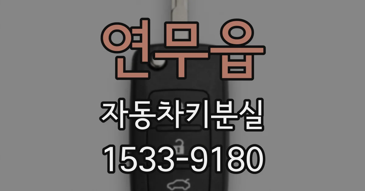 연무읍 자동차키분실