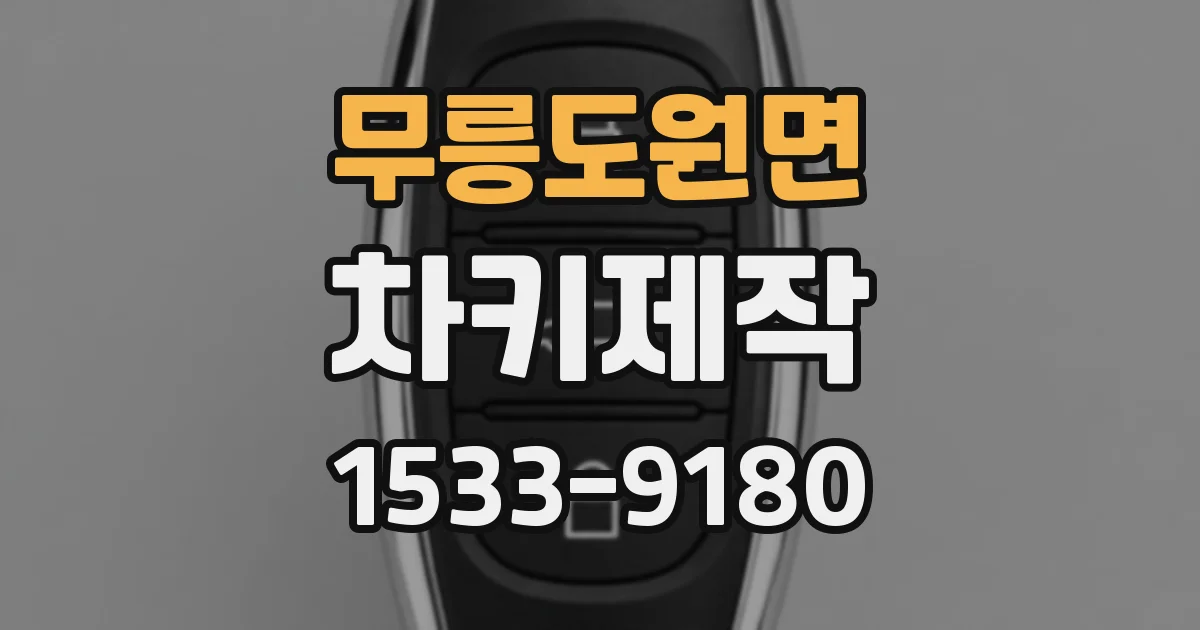 무릉도원면 차키제작