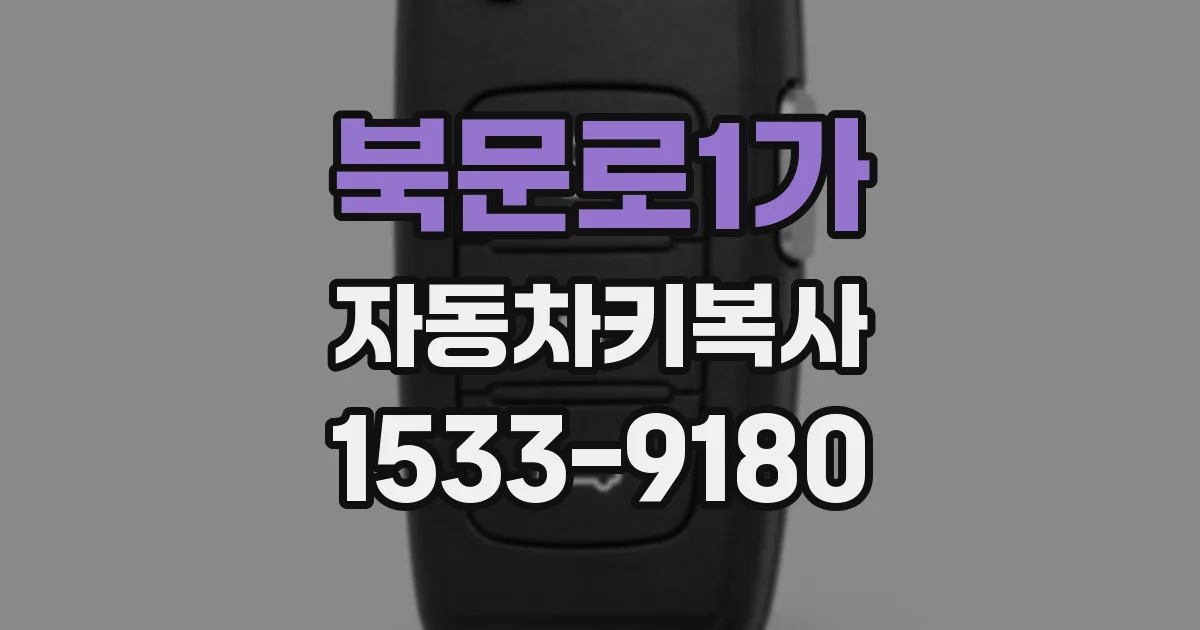 북문로1가 자동차키복사