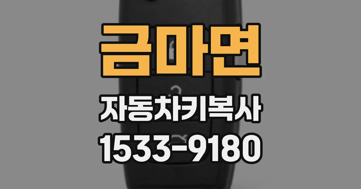 금마면 자동차키복사