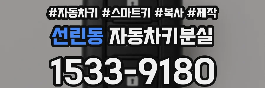 선린동 자동차키분실