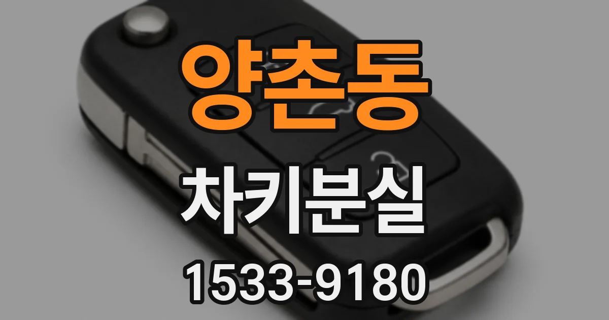 양촌동 차키분실