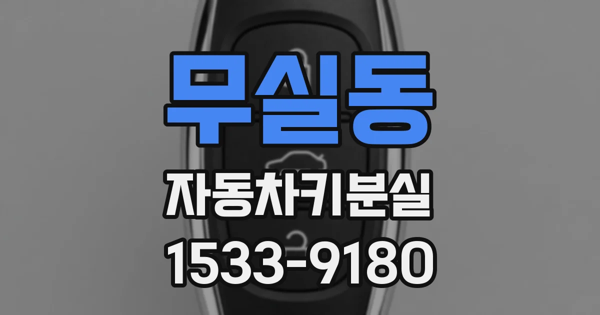 무실동 자동차키분실