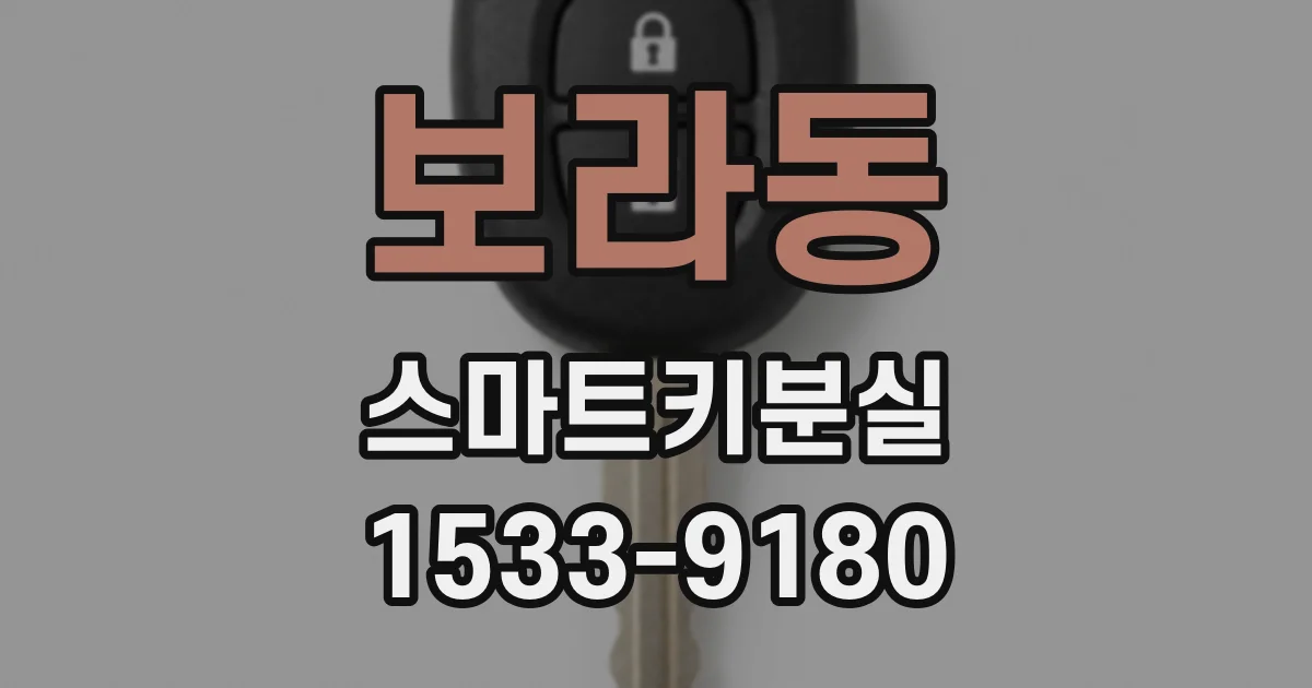 보라동 스마트키분실