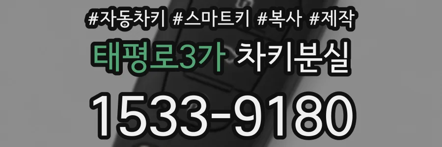 태평로3가 차키분실