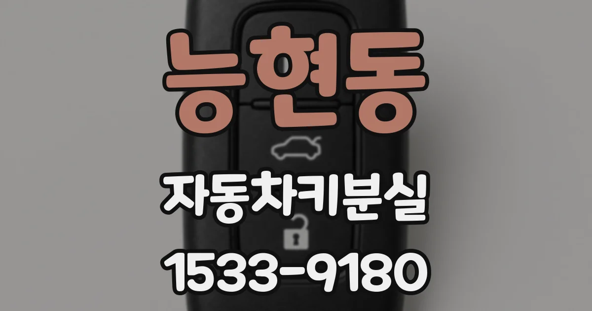 능현동 자동차키분실