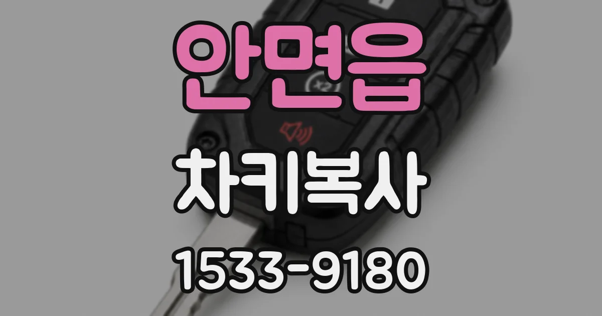안면읍 차키복사