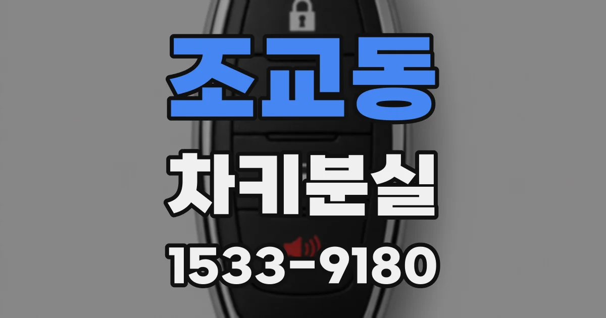 조교동 차키분실