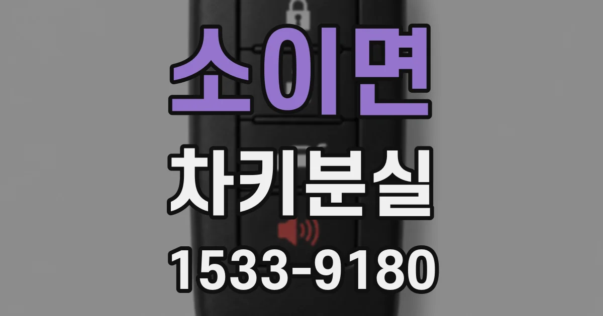 소이면 차키분실