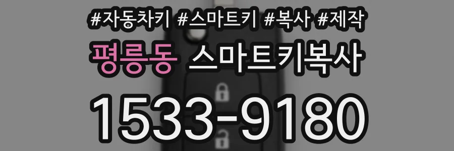 평릉동 스마트키복사