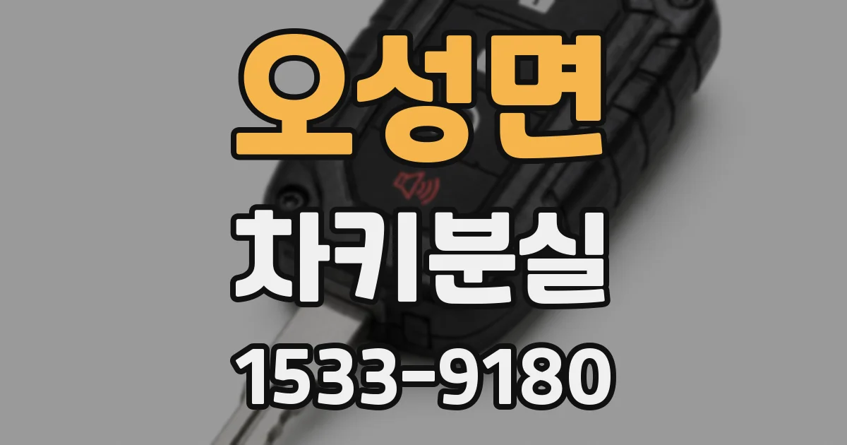 오성면 차키분실