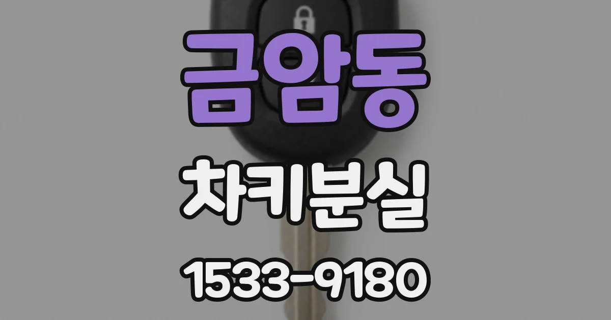 금암동 차키분실