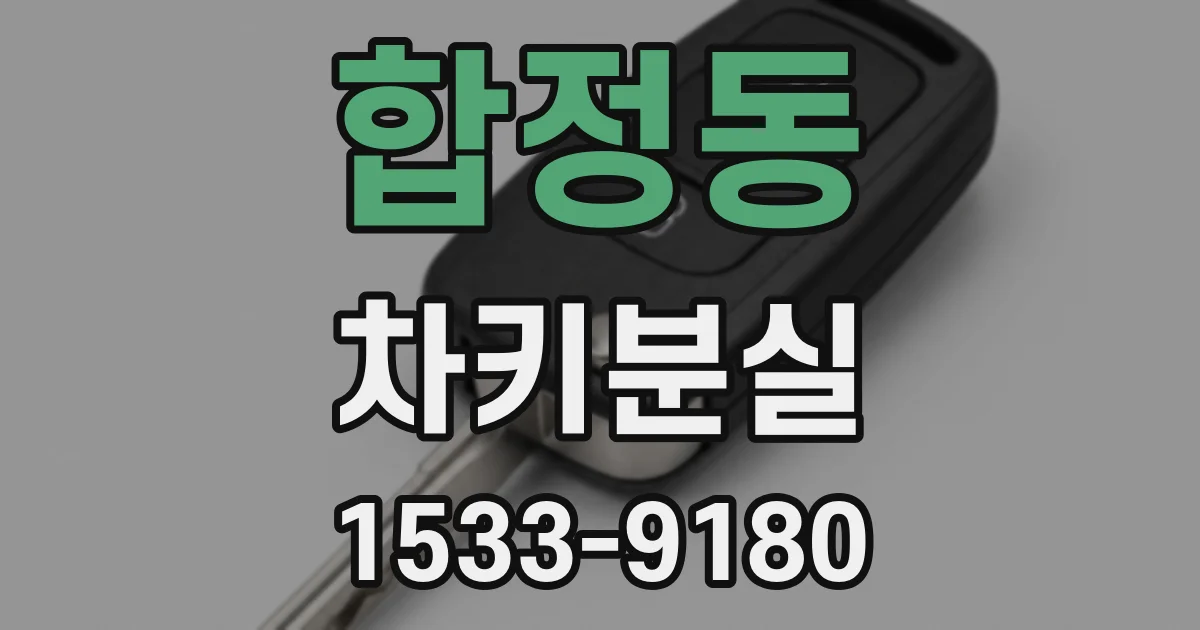 합정동 차키분실
