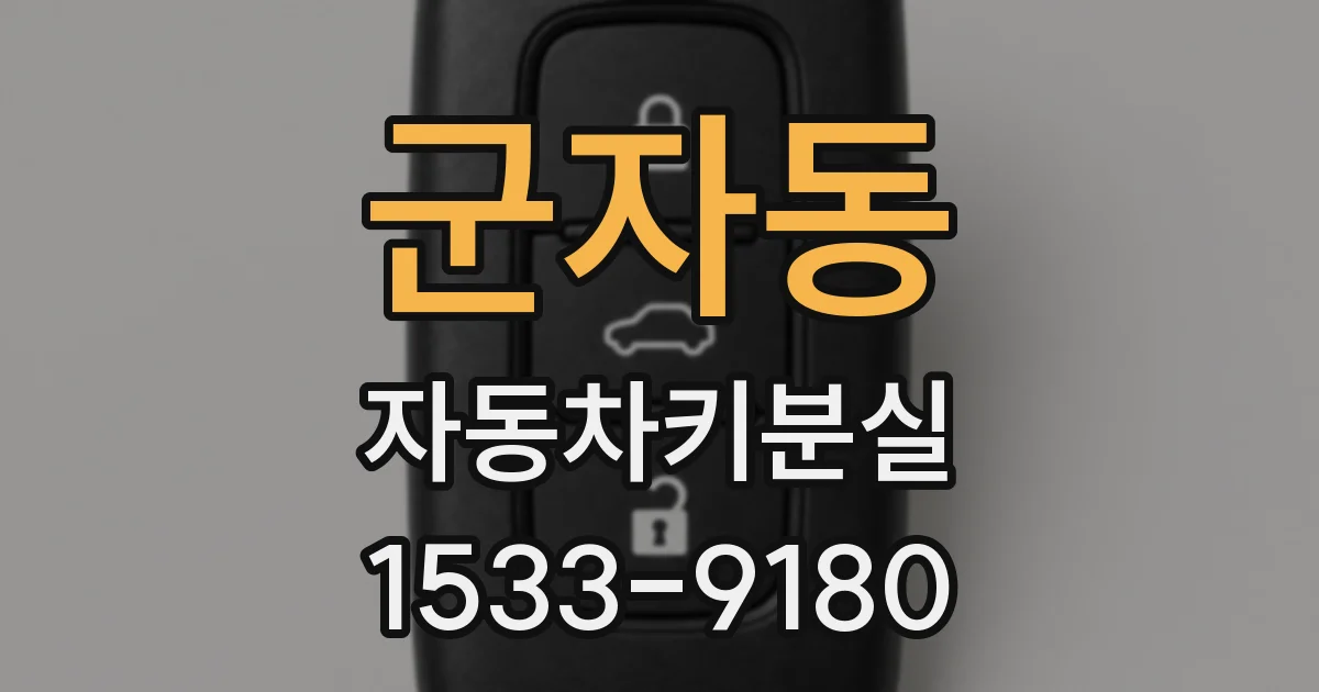 군자동 자동차키분실