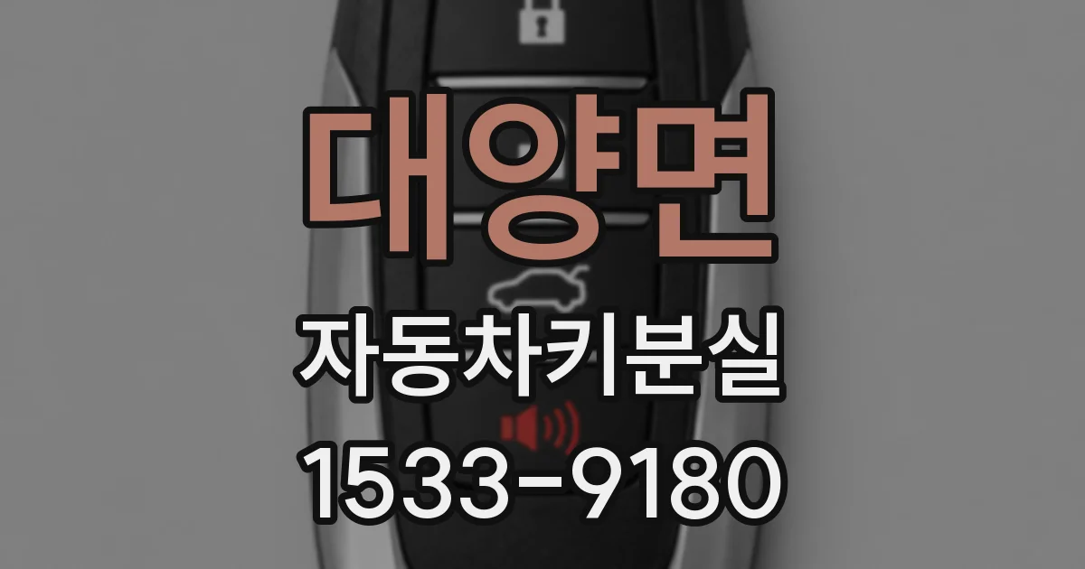 대양면 자동차키분실