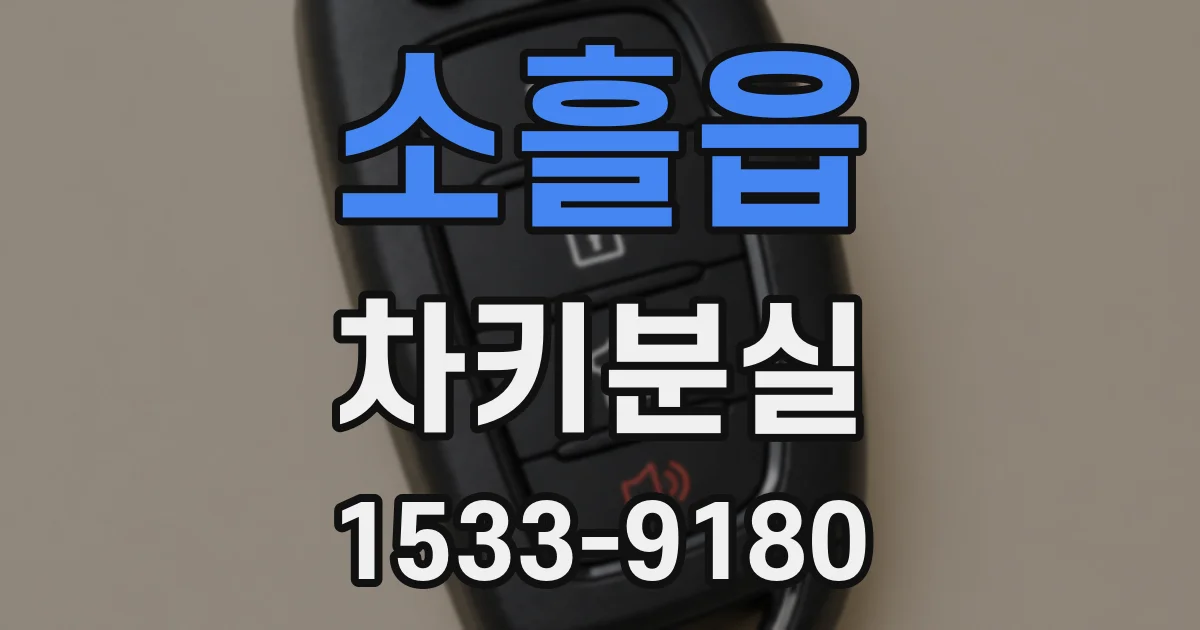 소흘읍 차키분실