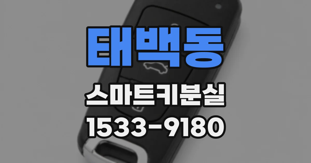 태백동 스마트키분실