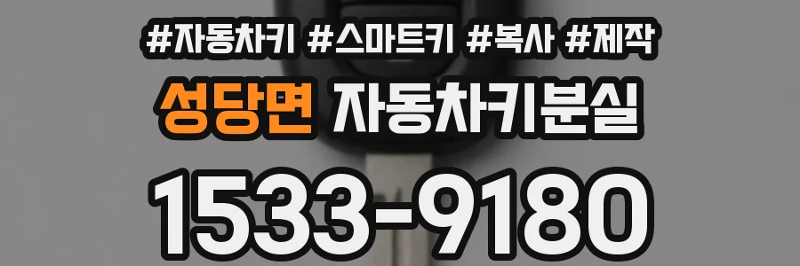 성당면 자동차키분실