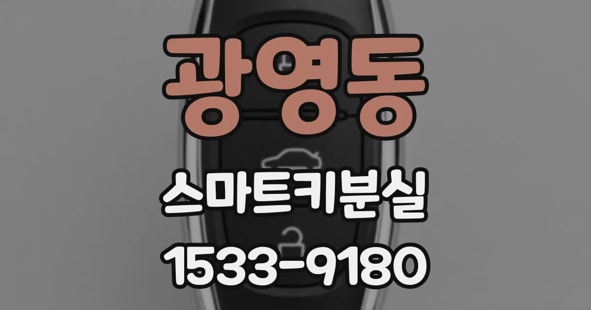 광영동 스마트키분실