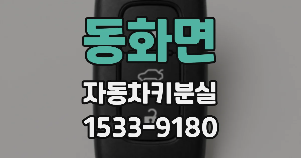 동화면 자동차키분실