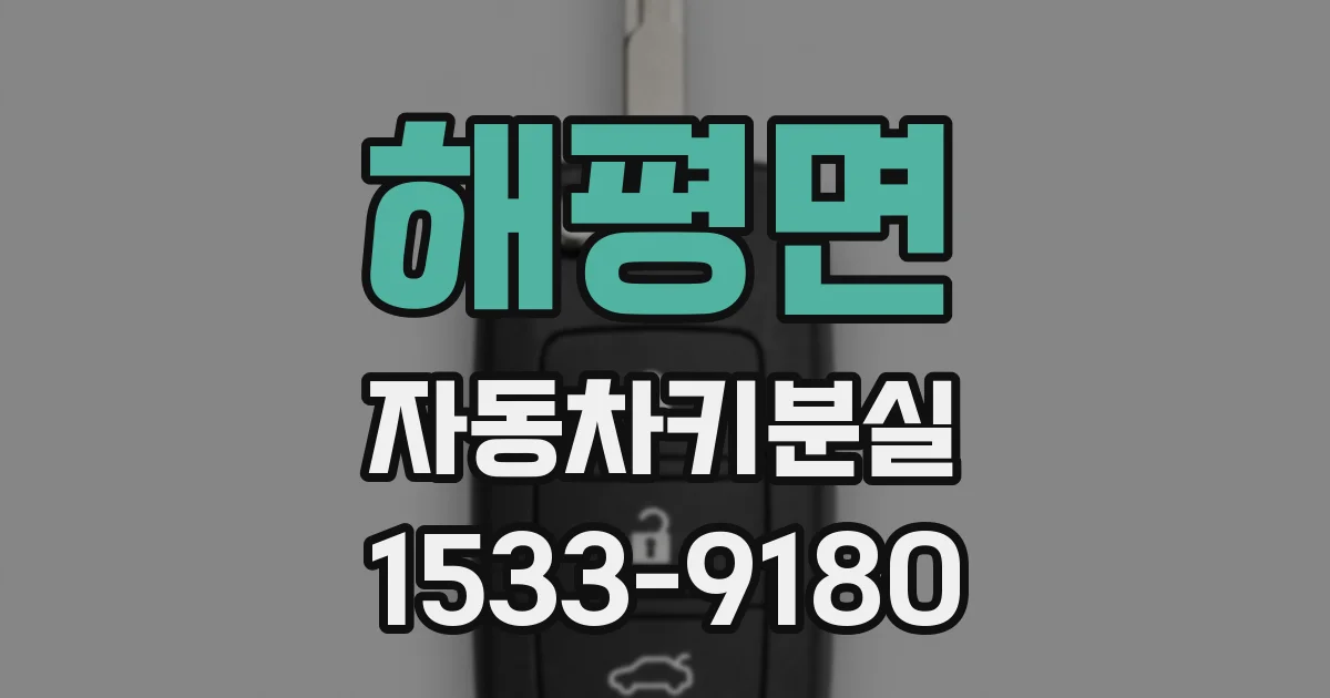 해평면 자동차키분실