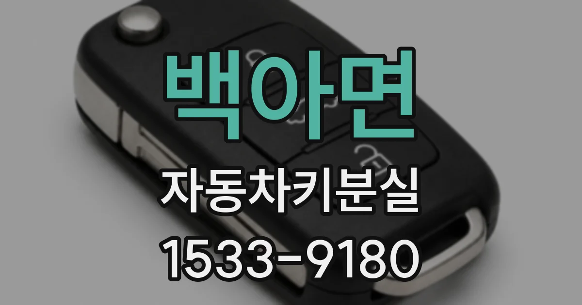 백아면 자동차키분실