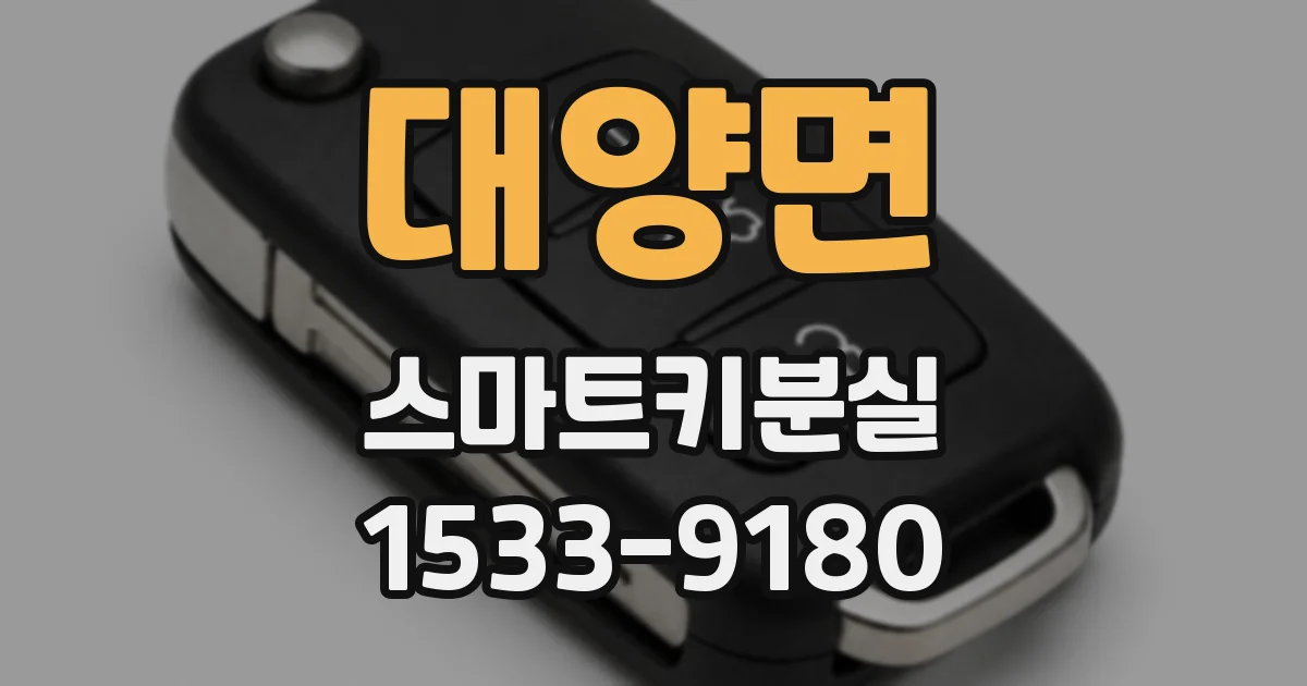 대양면 스마트키분실