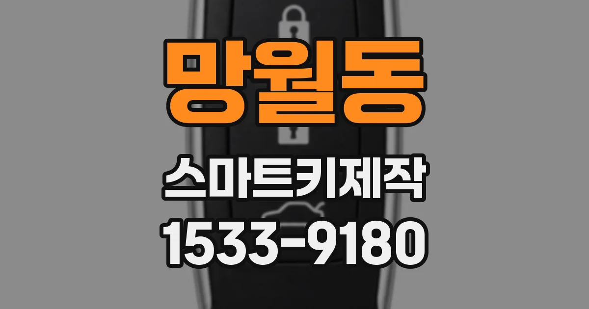 망월동 스마트키제작