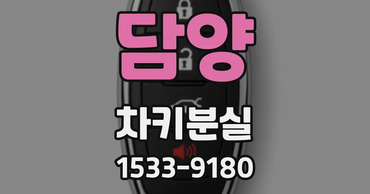 담양 차키분실