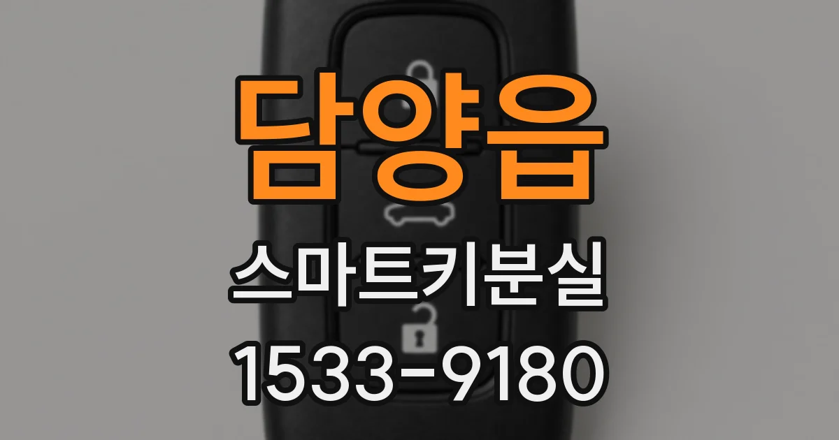 담양읍 스마트키분실