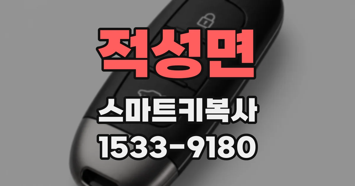 적성면 스마트키복사