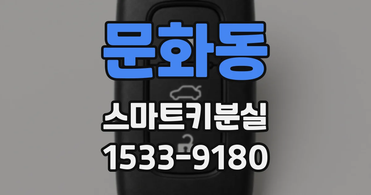문화동 스마트키분실