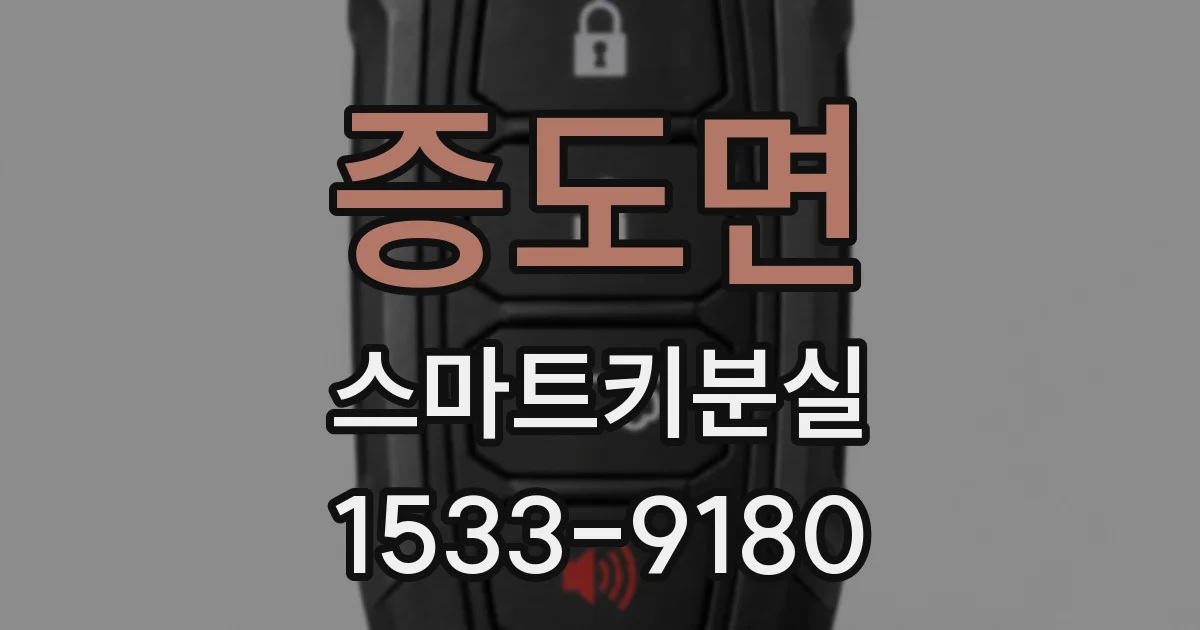 증도면 스마트키분실