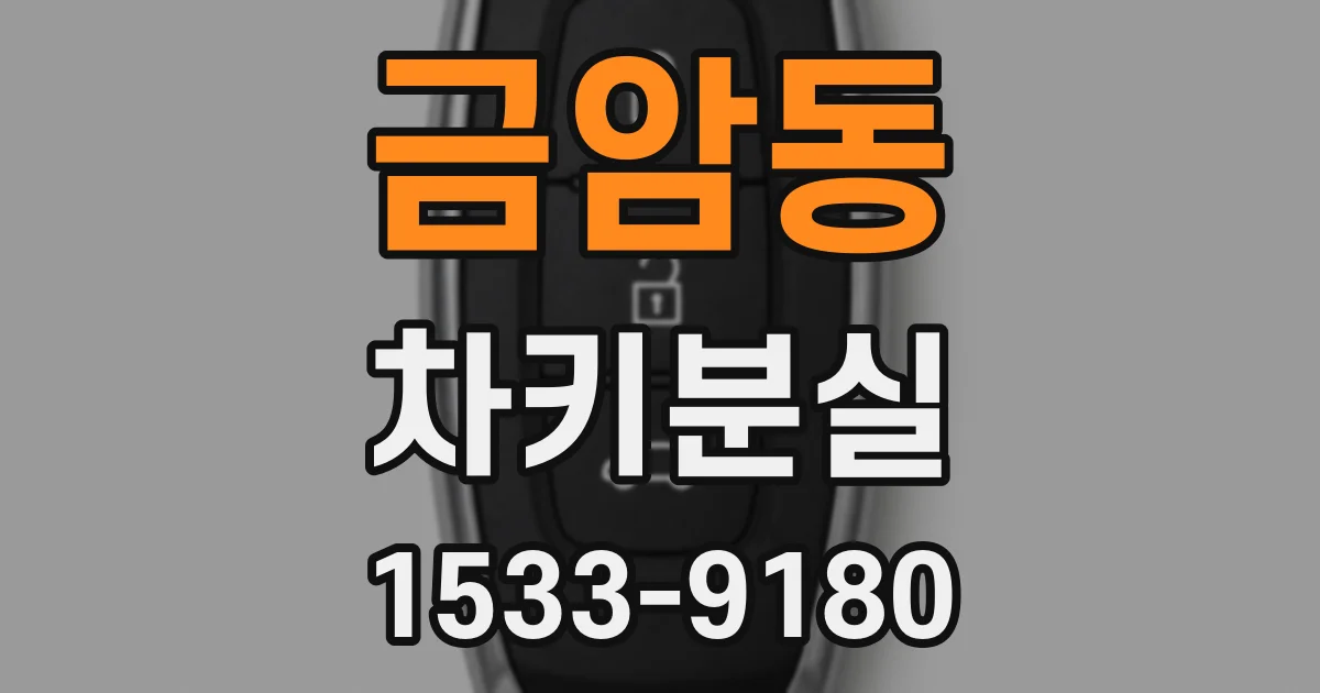 금암동 차키분실