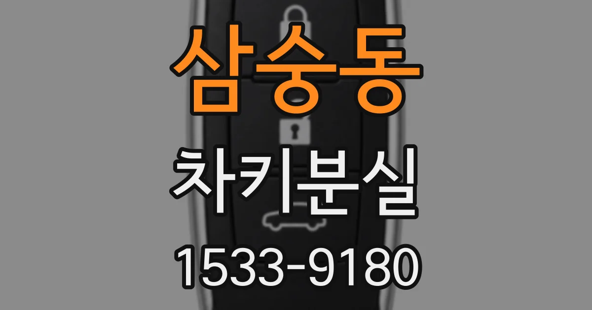 삼숭동 차키분실