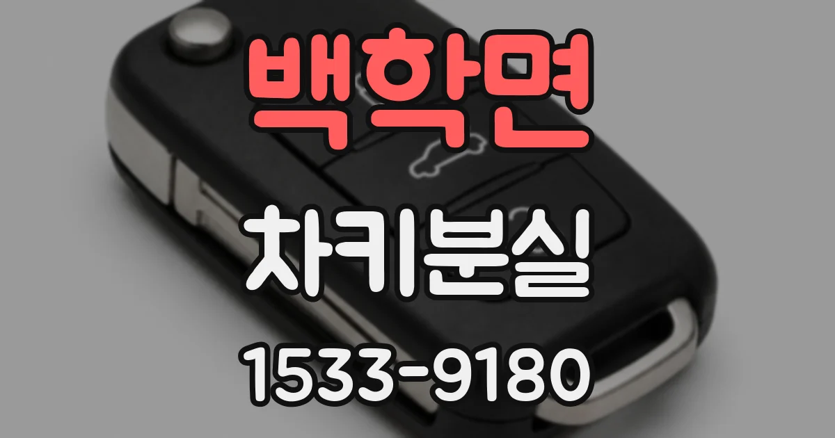 백학면 차키분실